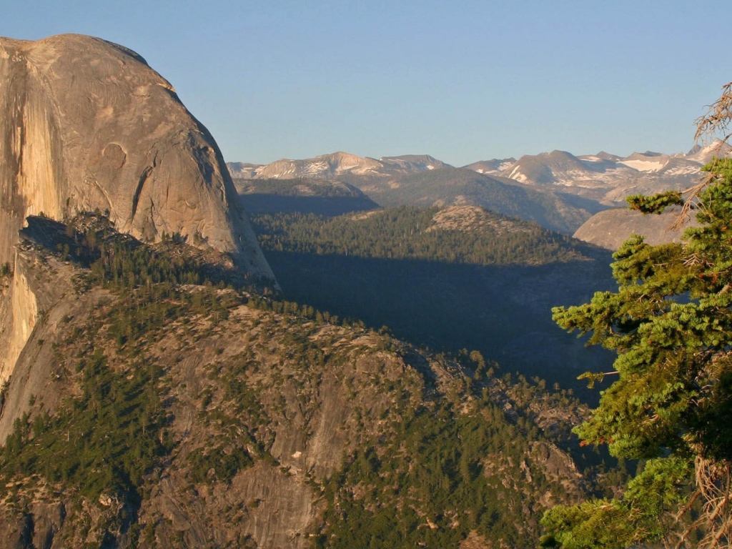 Горы и елка