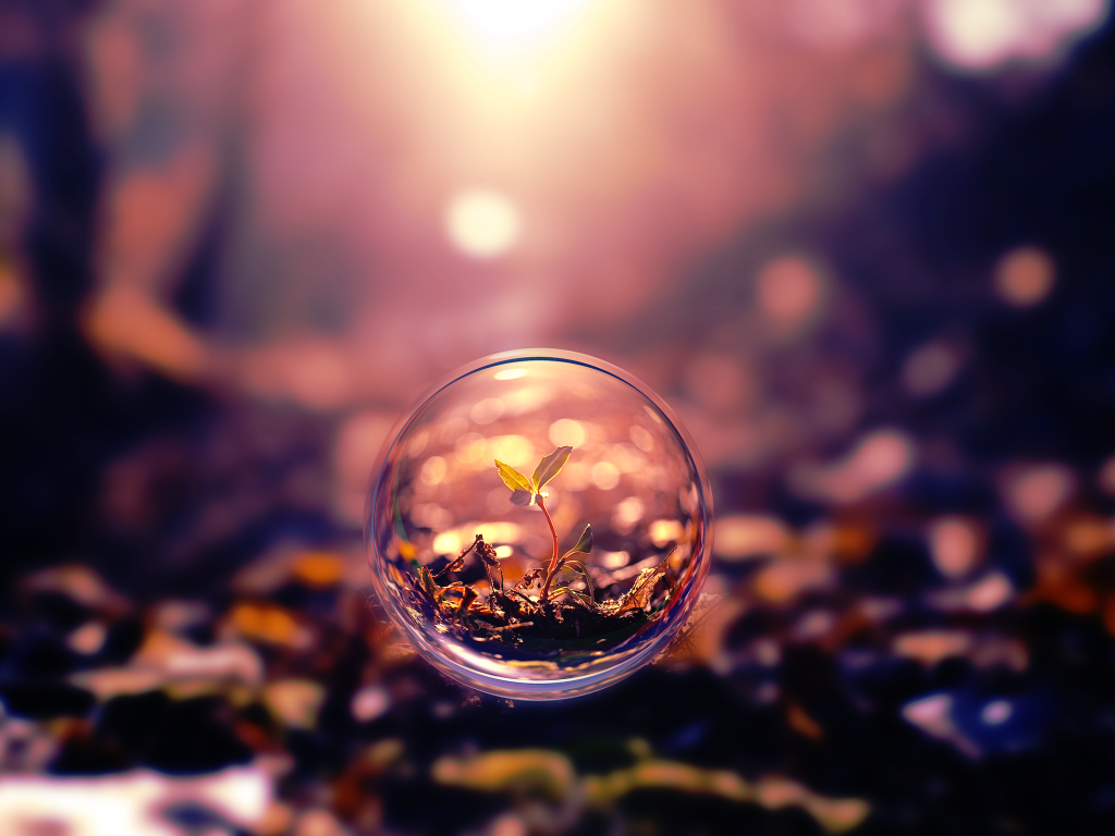 Росток под стеклом