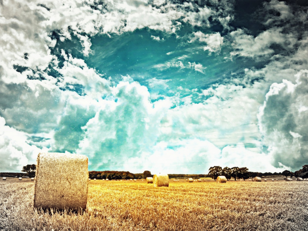 Тучи над полем