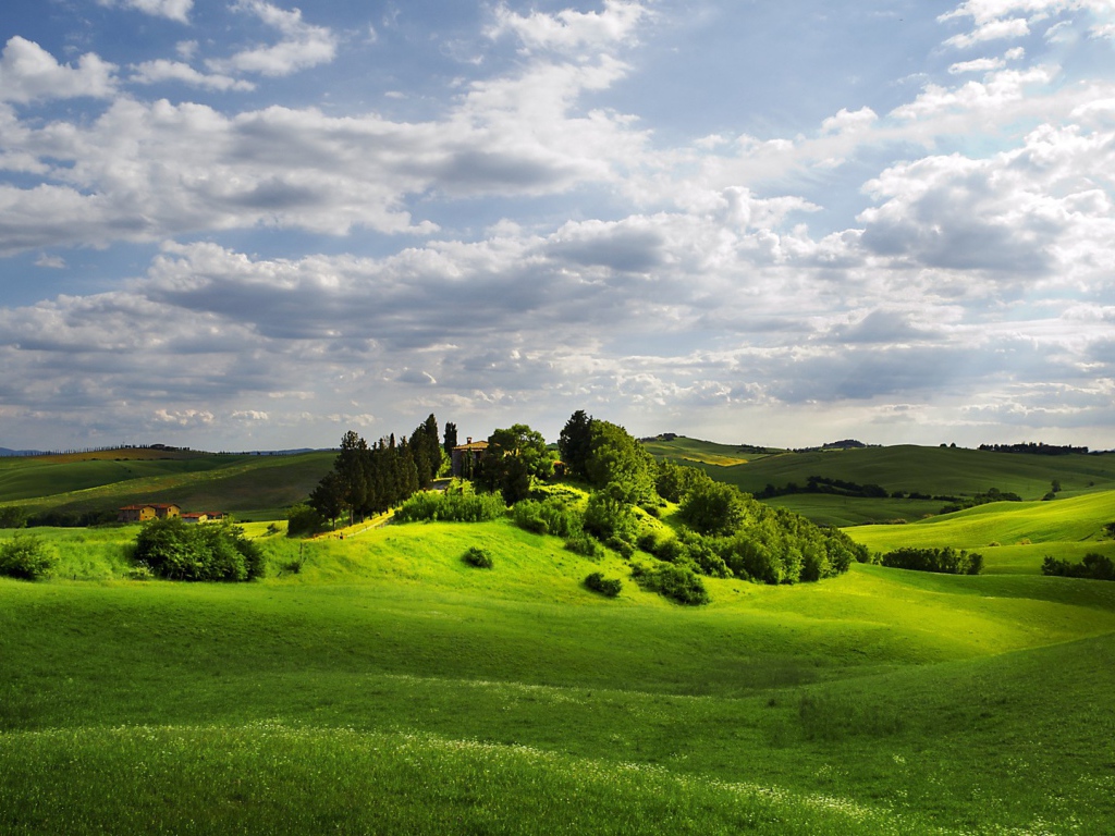 Изумрудно зеленые  холмы