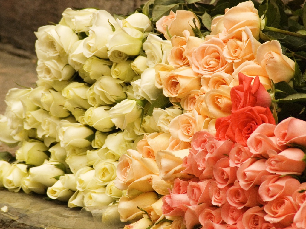 Большой букет роз