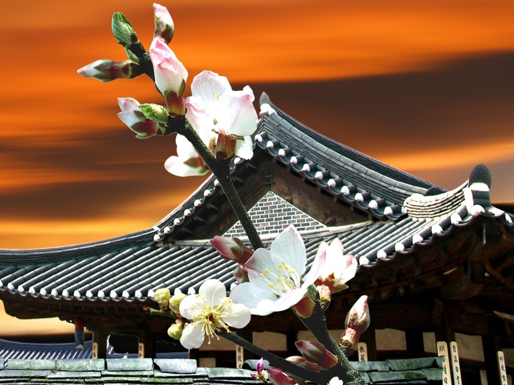 Цветы Японии