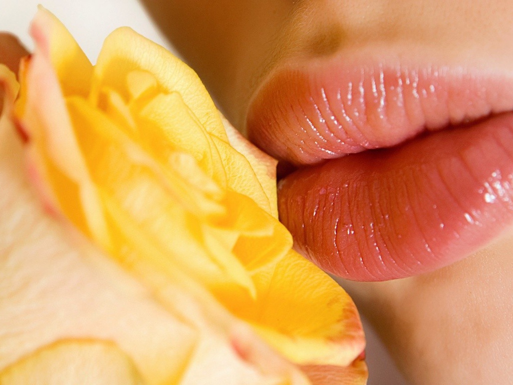 Поцелуй желтой розы