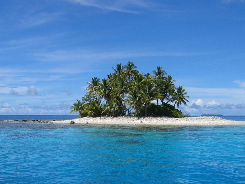 Остров с деревьями