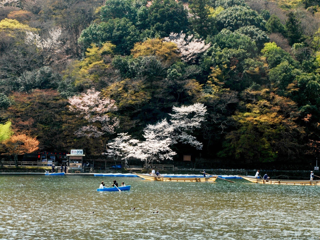 Катание на лодках