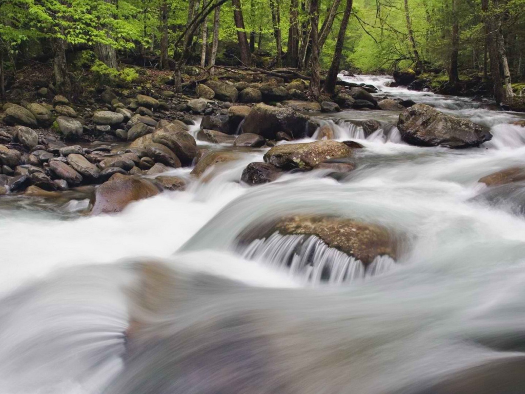 Национальный парк Теннессее