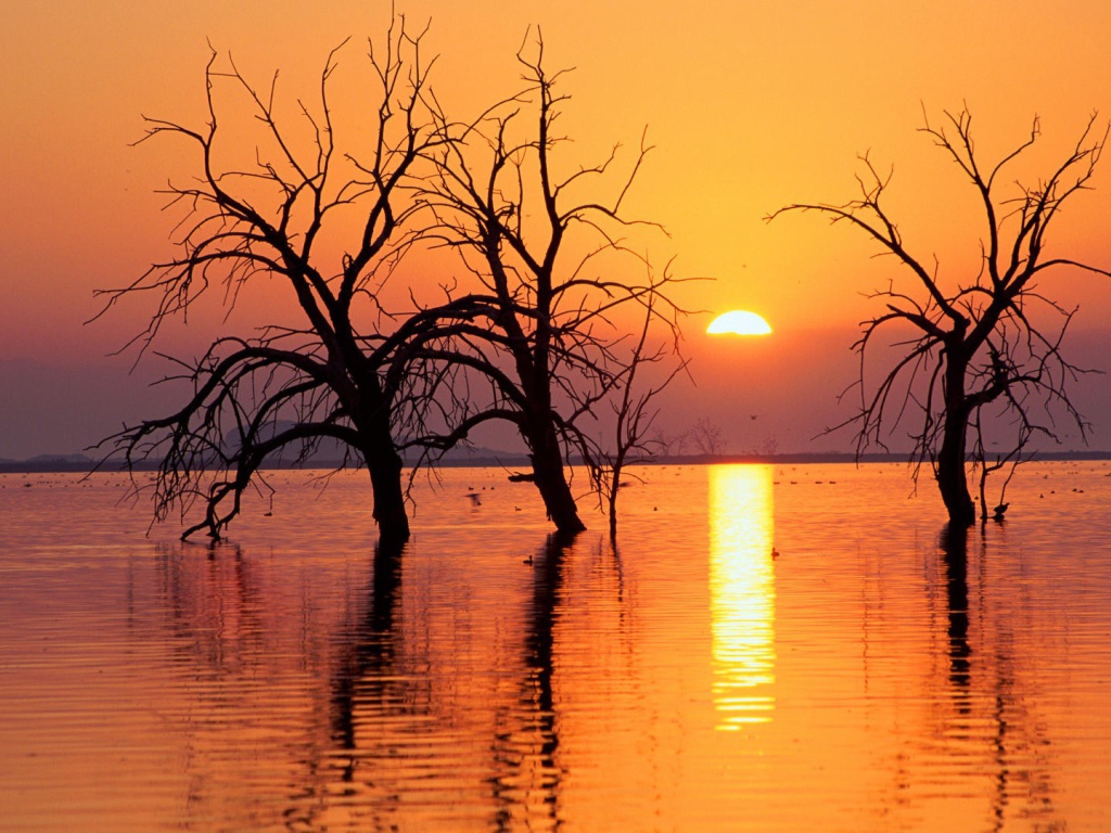 Весеннее половодье в Калифорнии