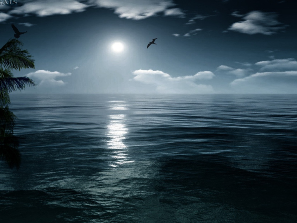 Птица летит на закате