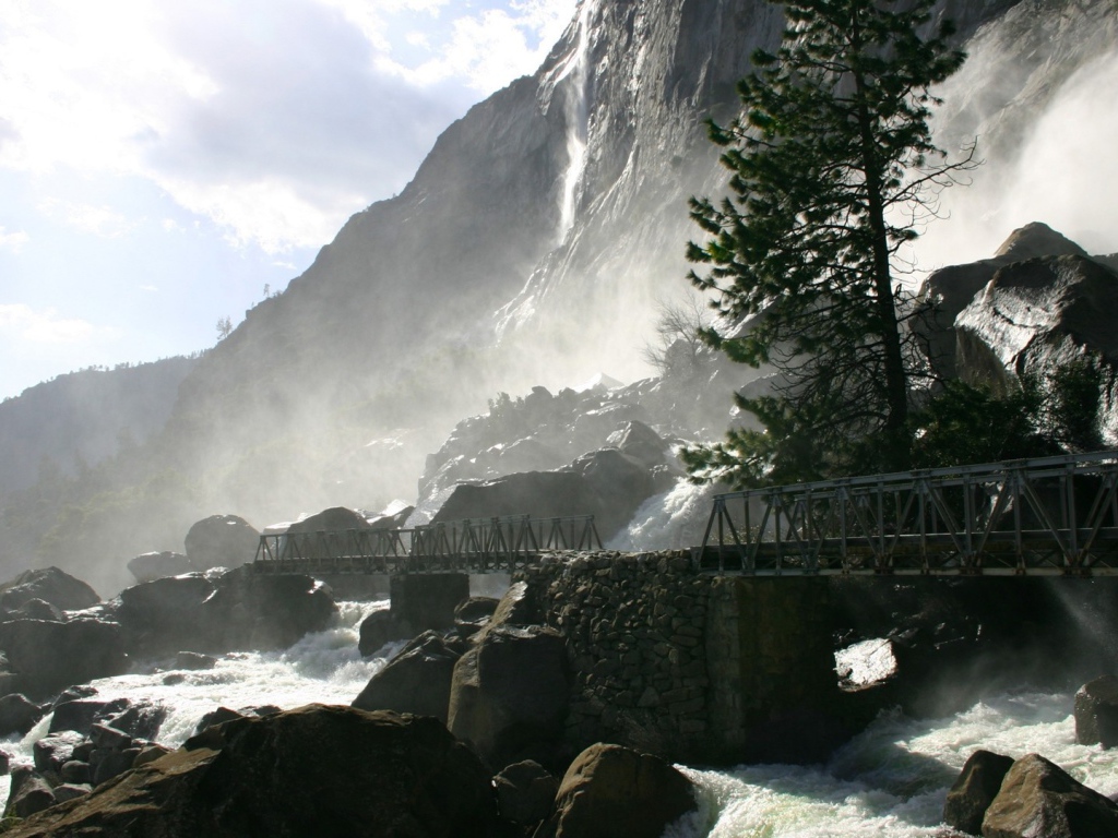 Одинокая сосна у водопада