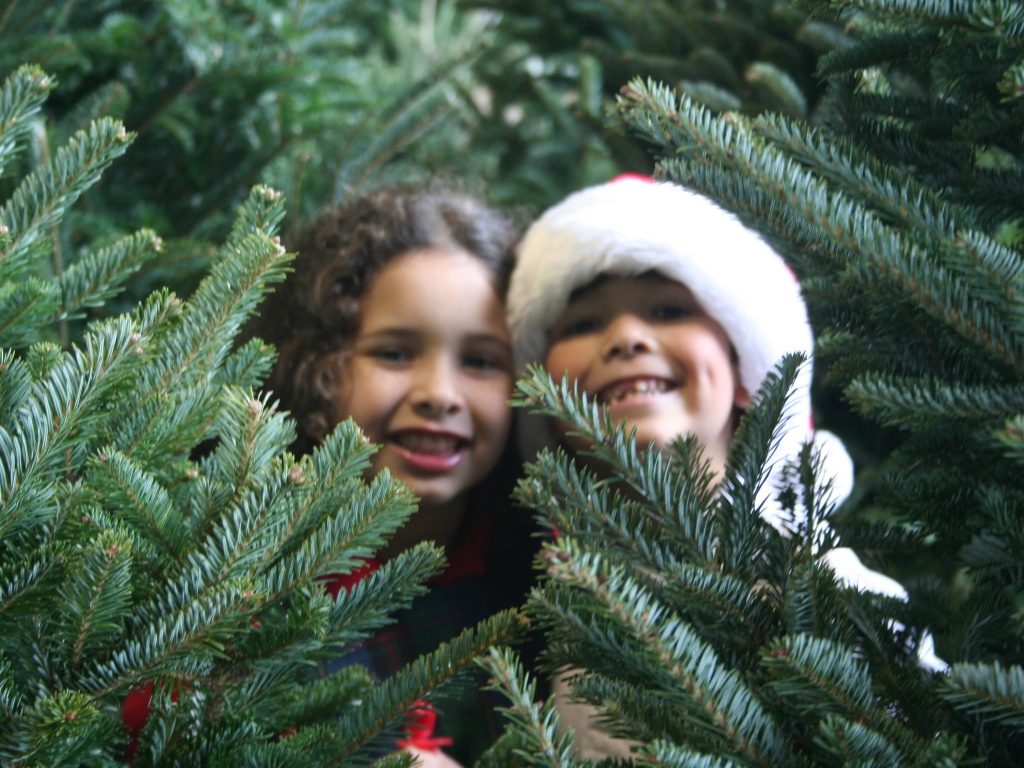Дети у новогодней елки 2014