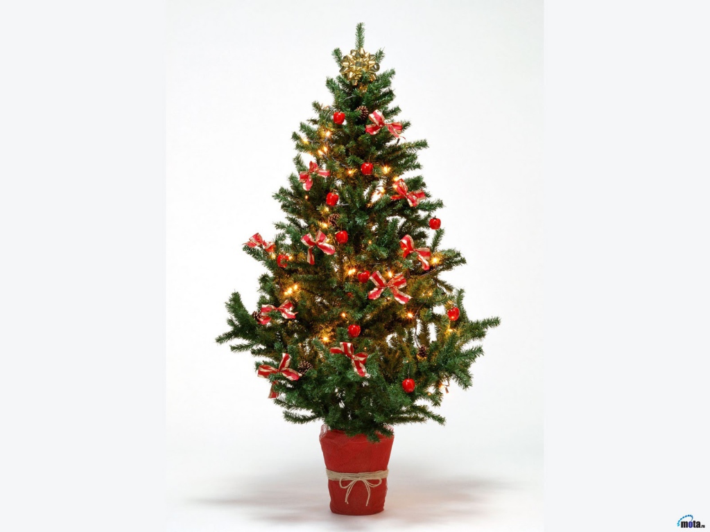 Новогодняя елка 2014 на белом фоне