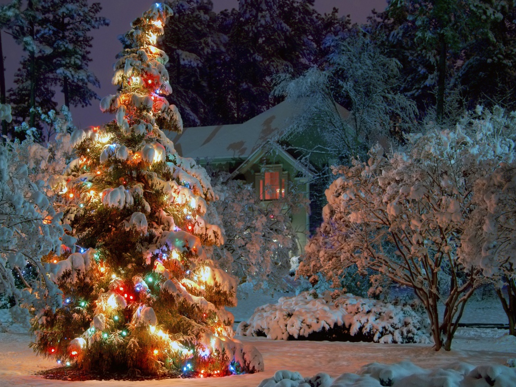 Новогодняя елка в ночном лесу