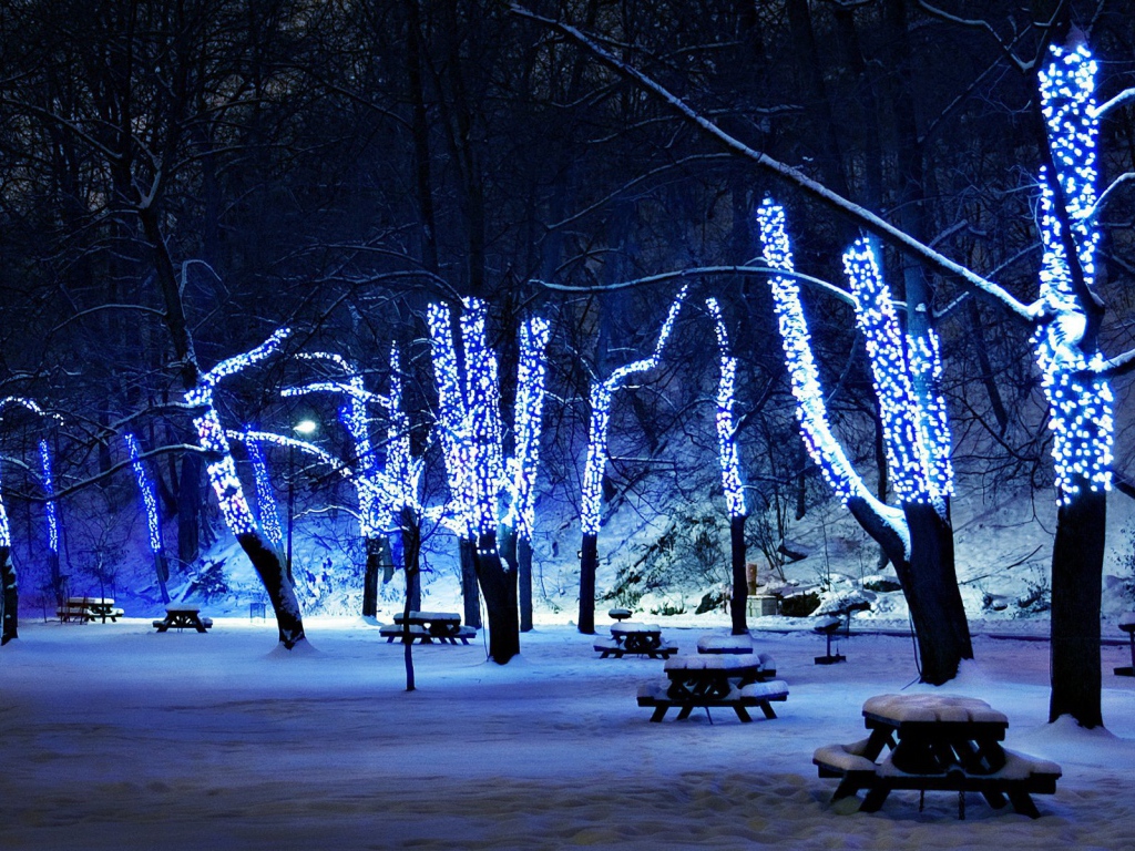 Новогодняя елка в зимнем парке