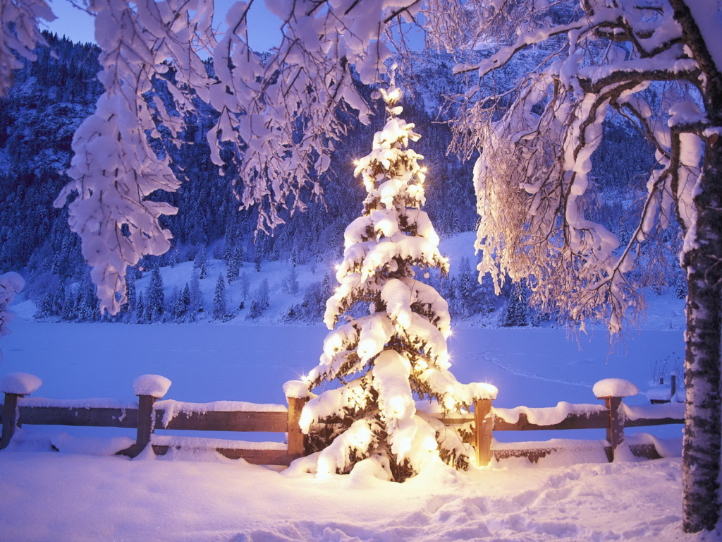 Новогодняя елка под снегом