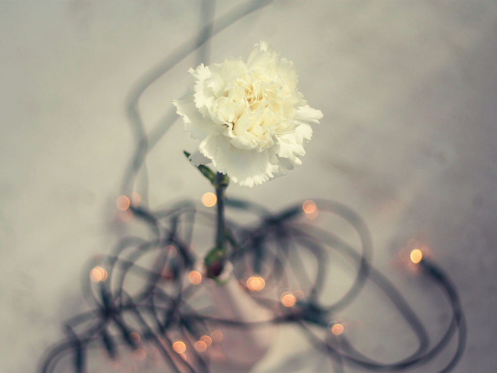 Цветок гирлянда