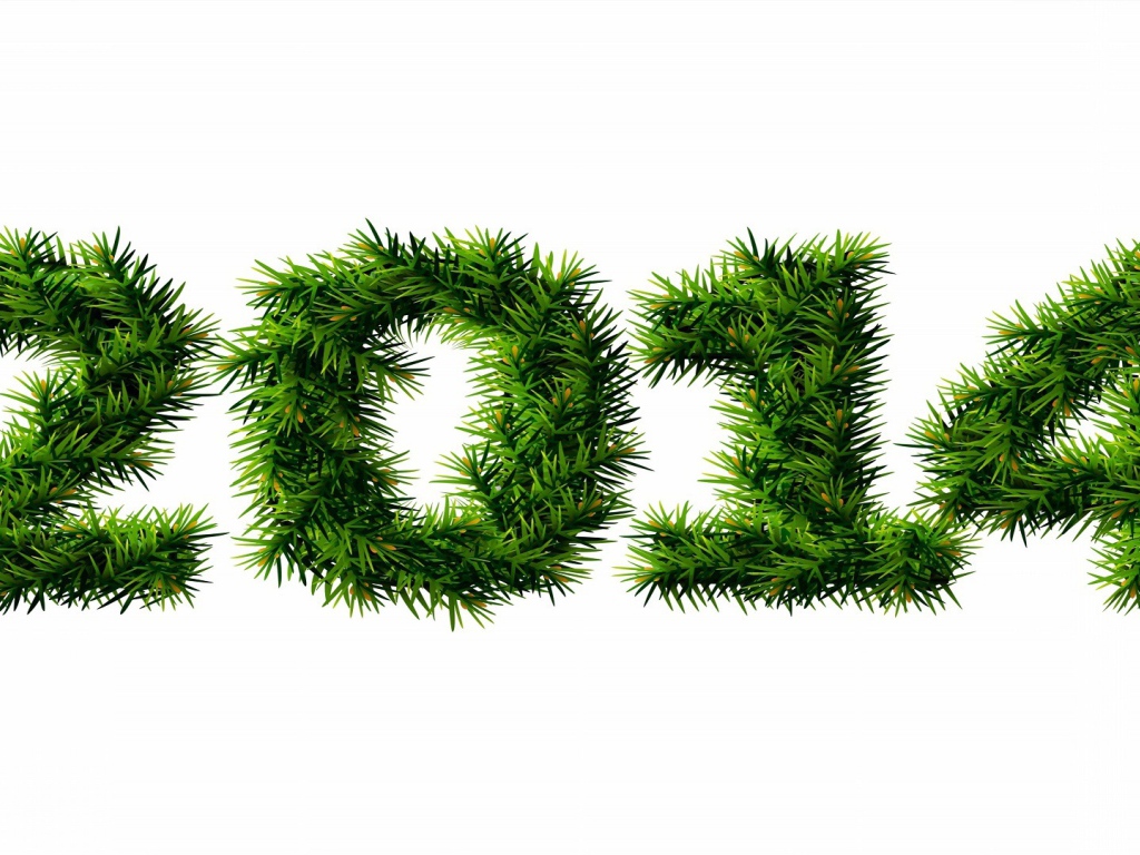 С Новым 2013-2014 годом