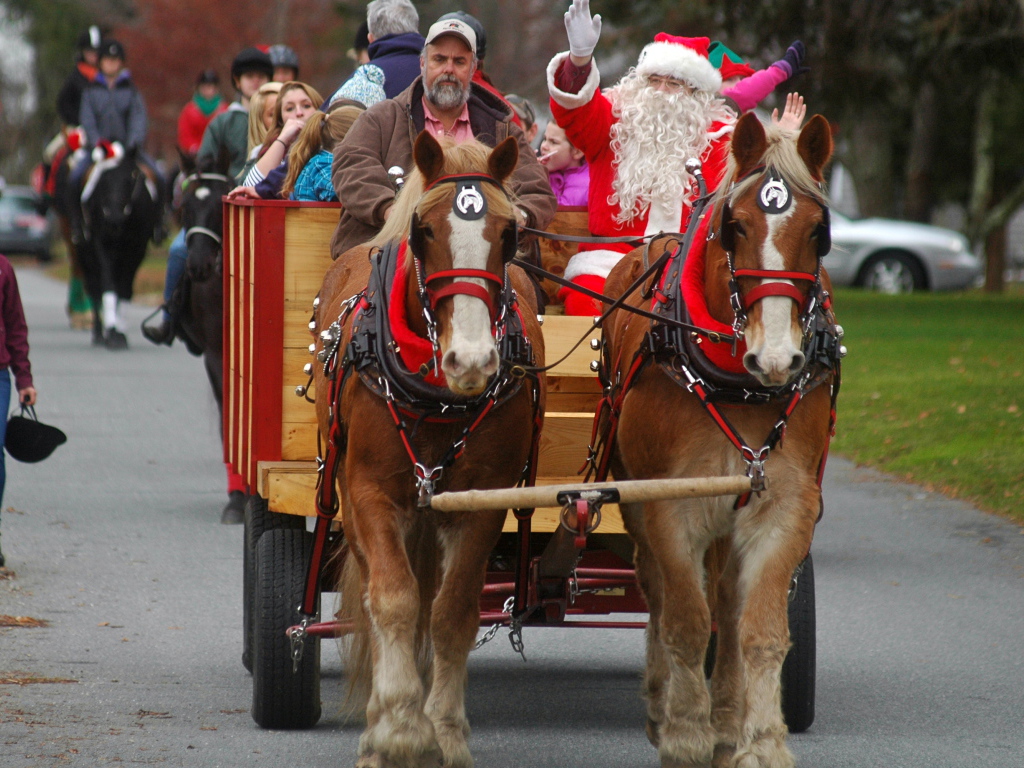 Дед мороз на лошади