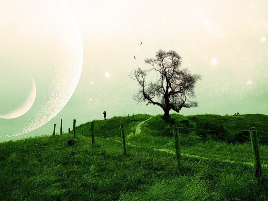 Композиция на тему природа