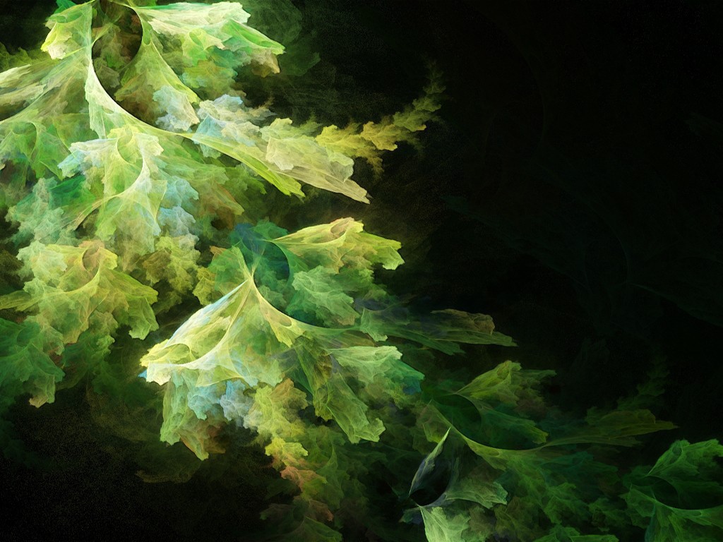 Абстрактные листья салата
