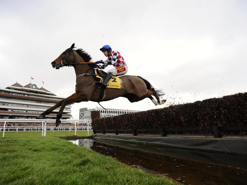 Лошадиные скачки