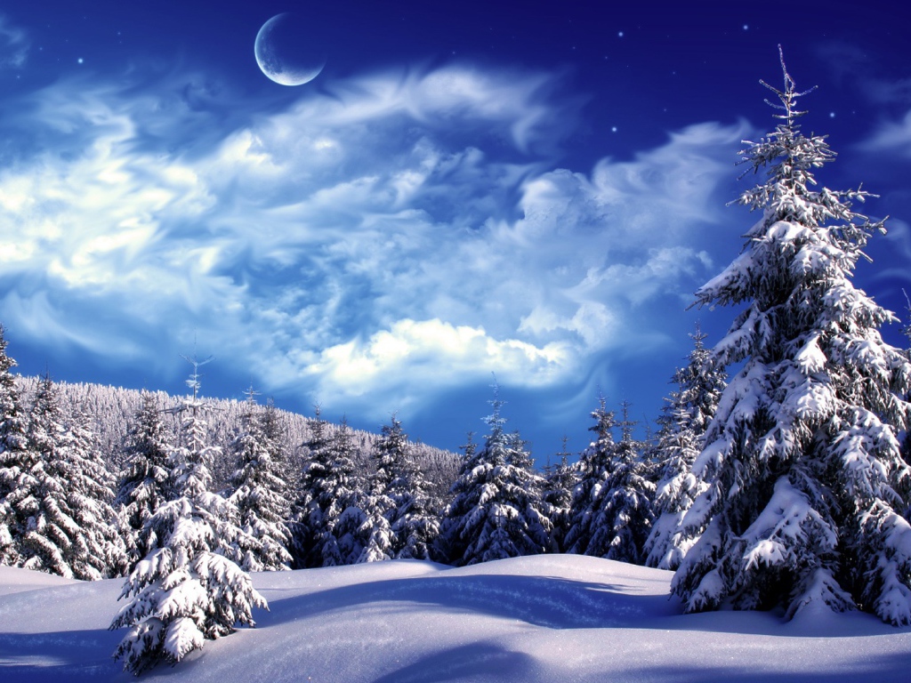 Winter forest in the moonlight