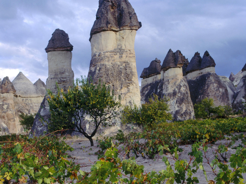 Волшебные дымоходы Турции с черными вершинами