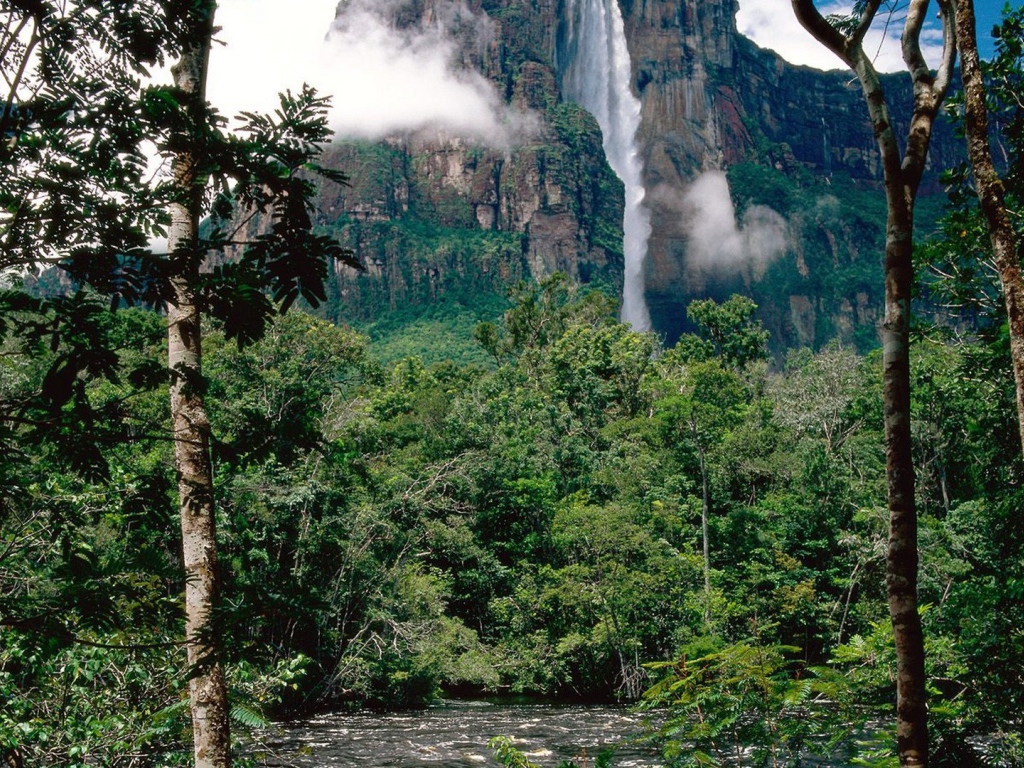 Национальный парк Венесуэлы