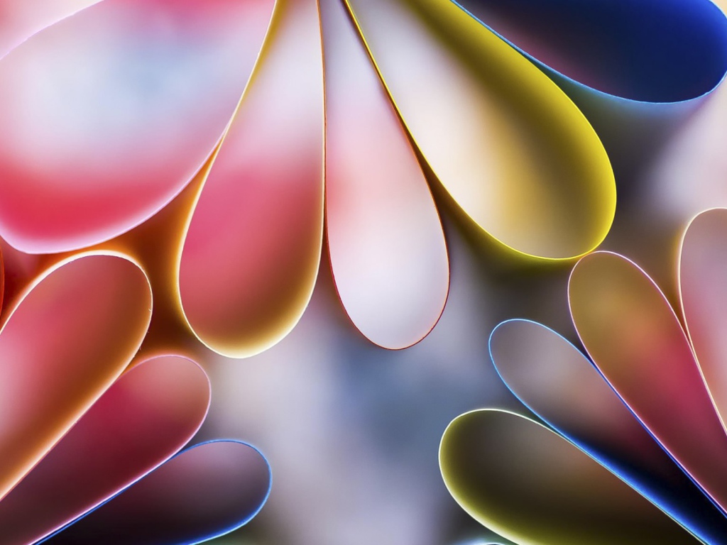 Лепестки цветов