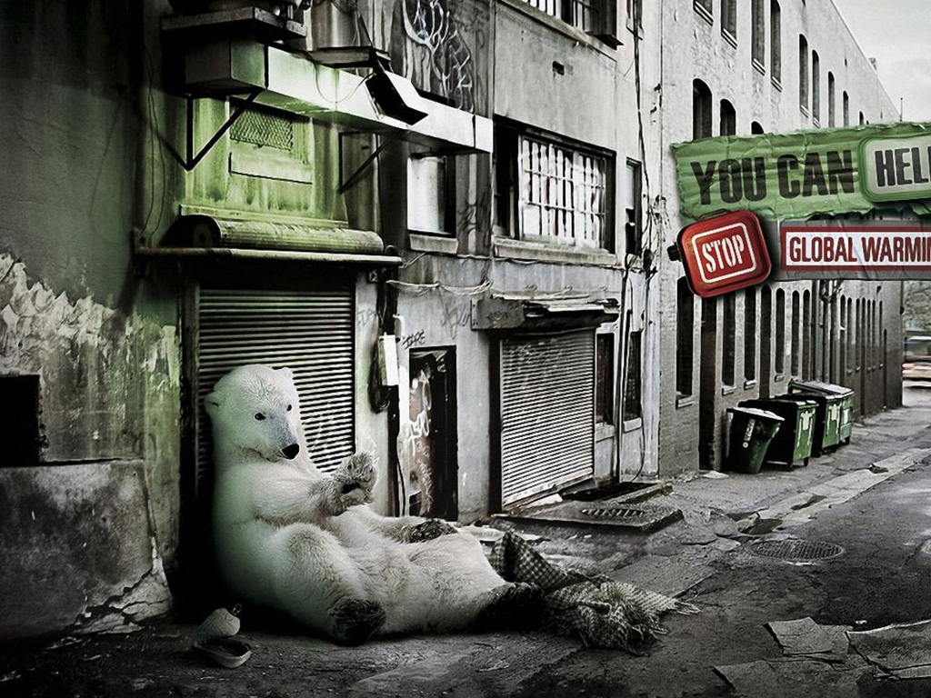 Помогите бедному медведю