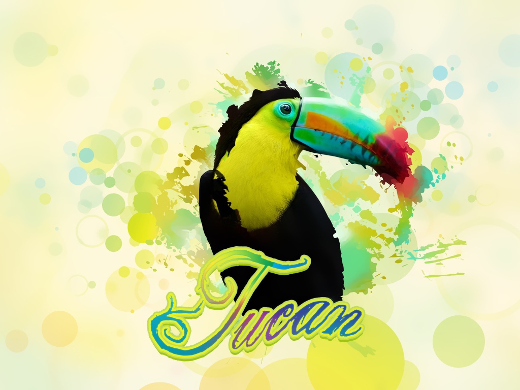 Птица тукан в красках