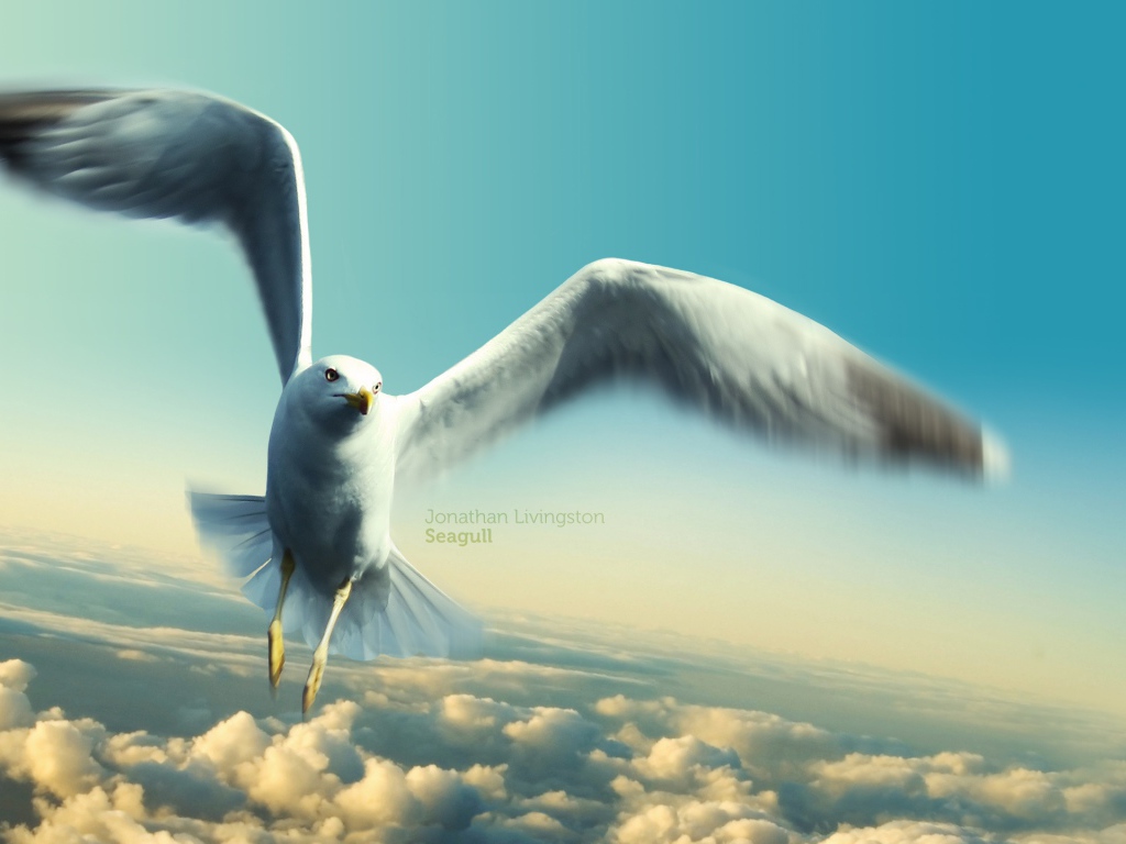 Чайка Джонатана Ливингстона