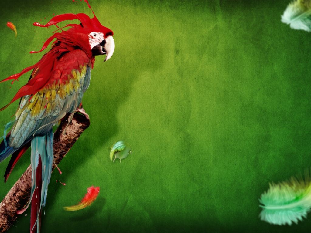 Всплеск попугая