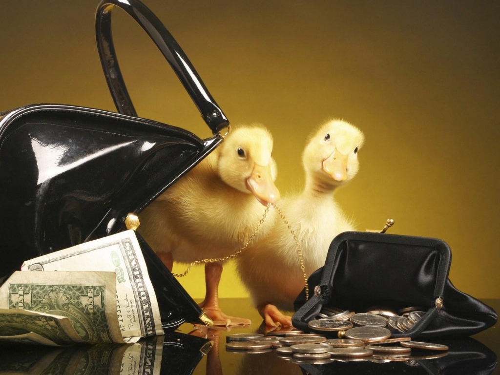 Утята у кошельков с деньгами