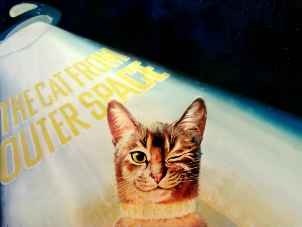 Кот подмигивает