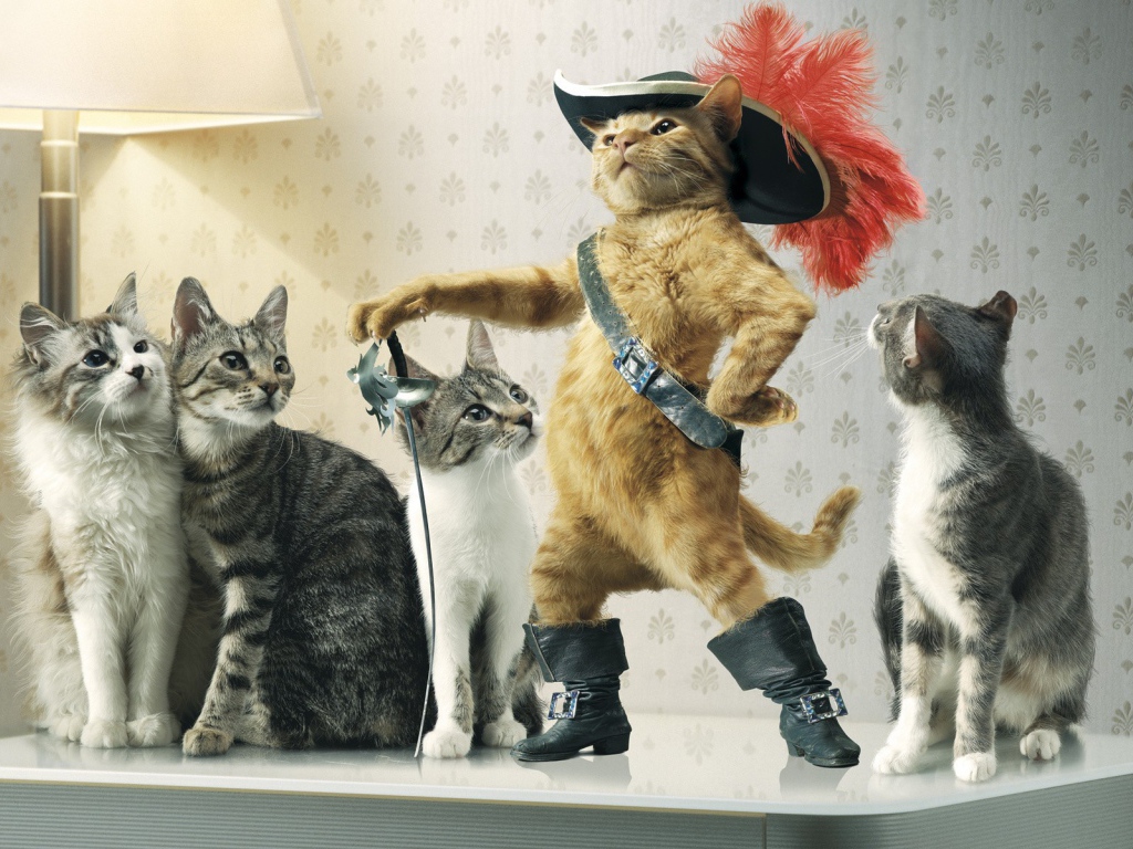 Кот в сапогах среди кошек