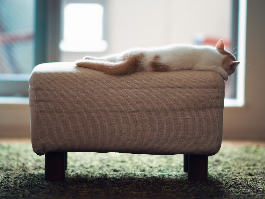 Котенок спит на пуфике