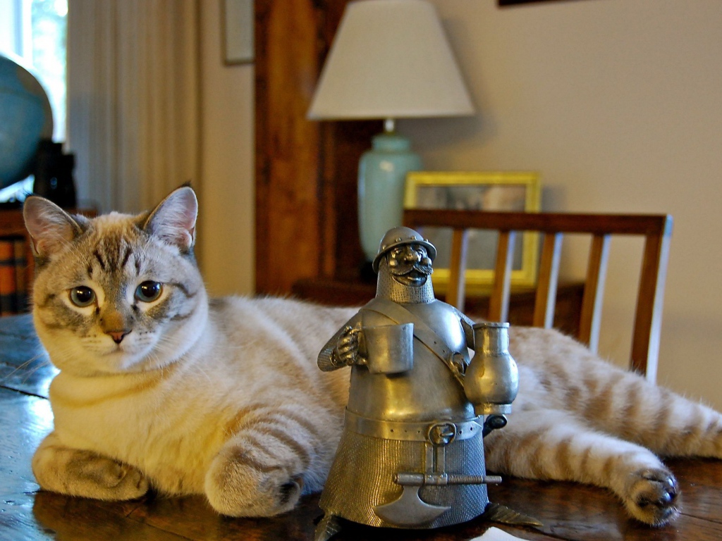 Кот у статуэтки