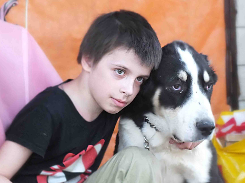 Мальчик сидит с алабаем