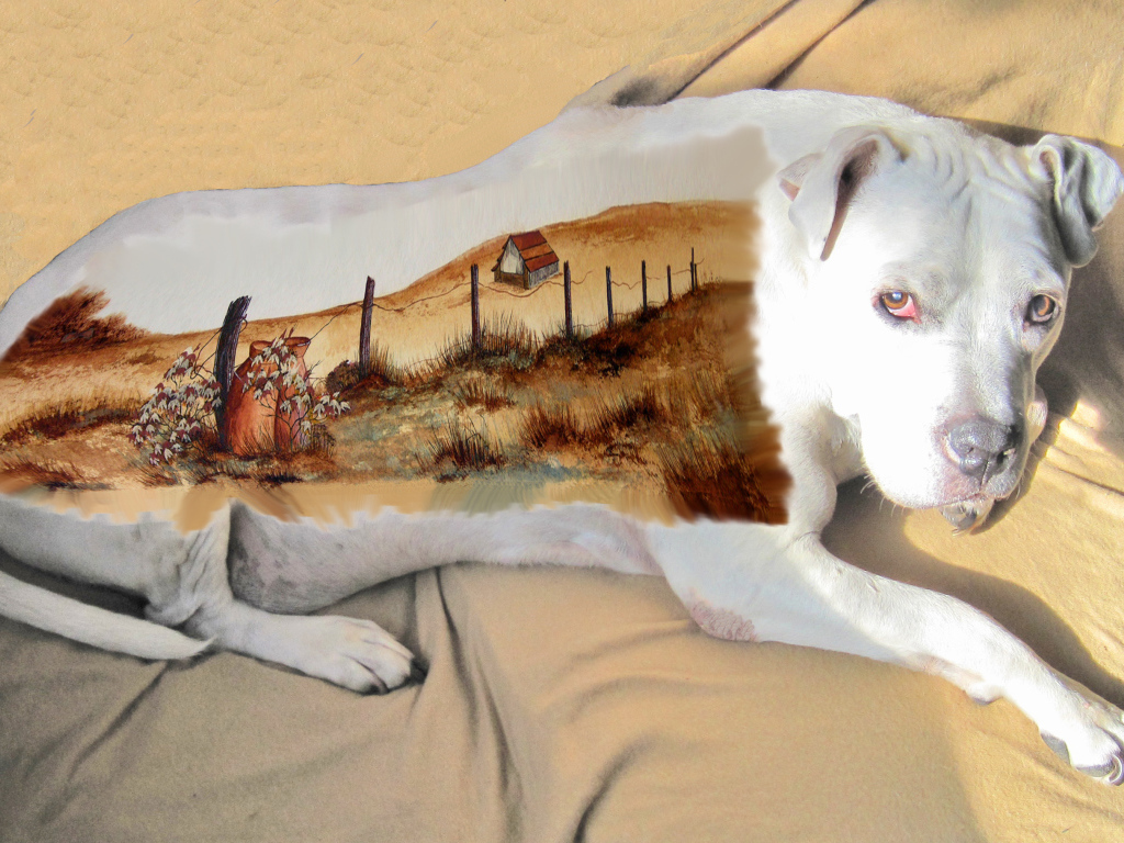 Картина на спине американского стаффордширского терьера