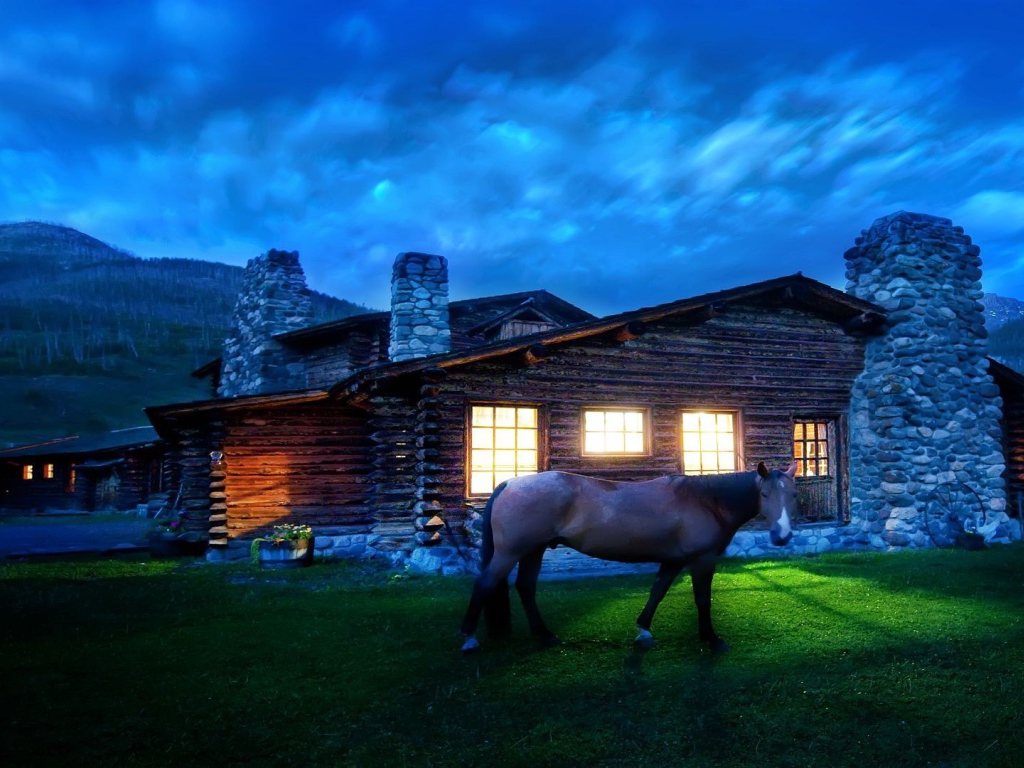 Лошадь около дома