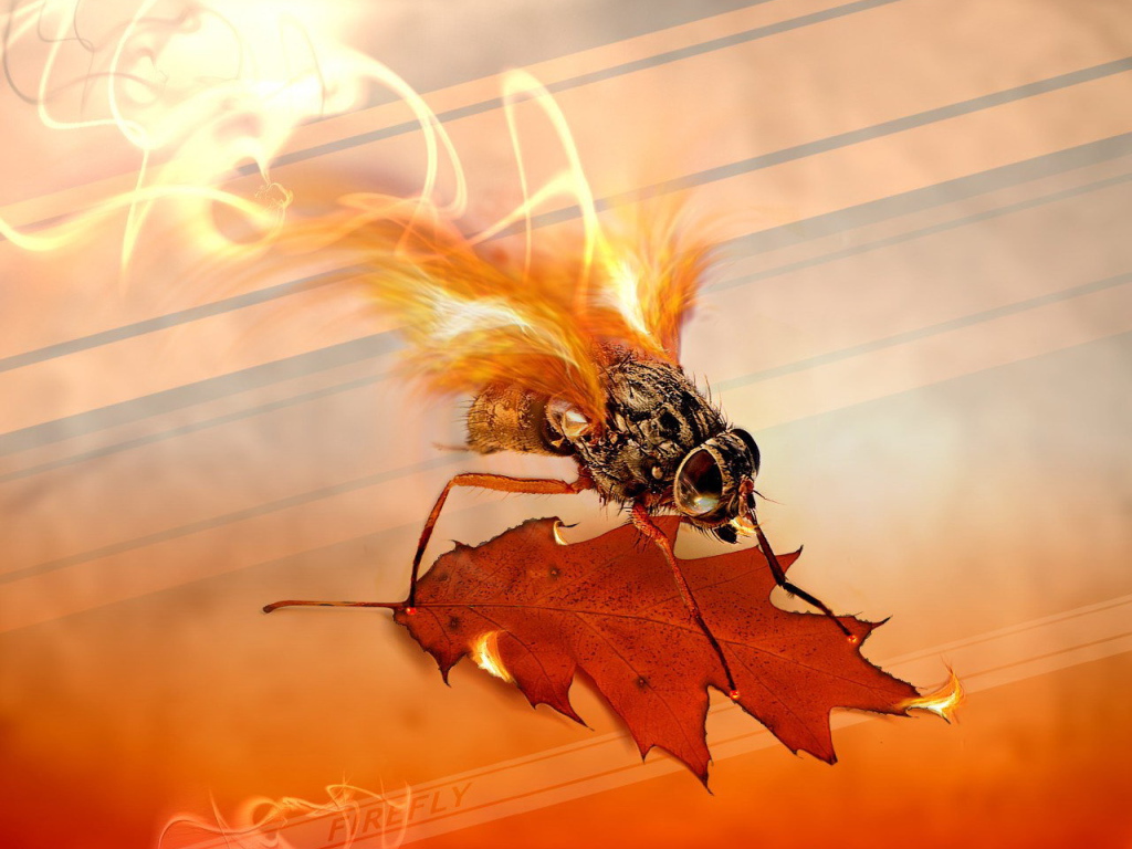 Муха с огненными крыльями
