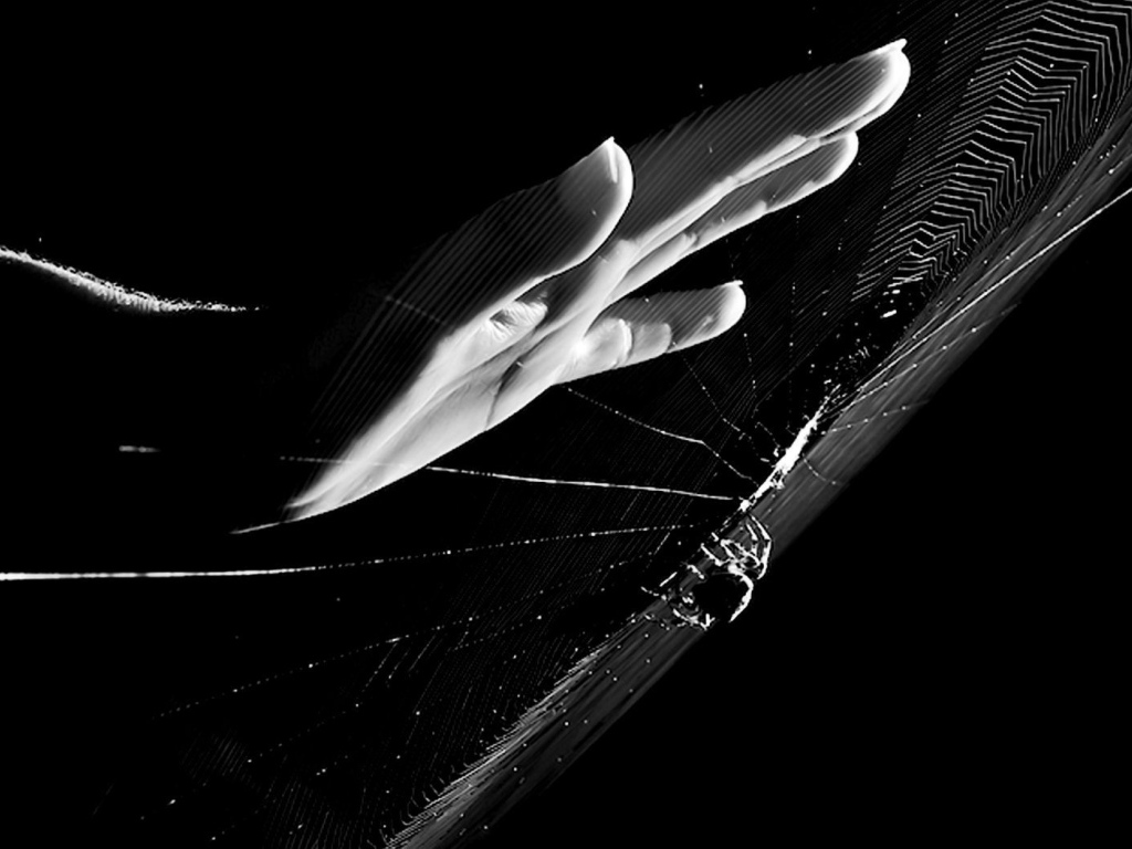 Рука у паутины