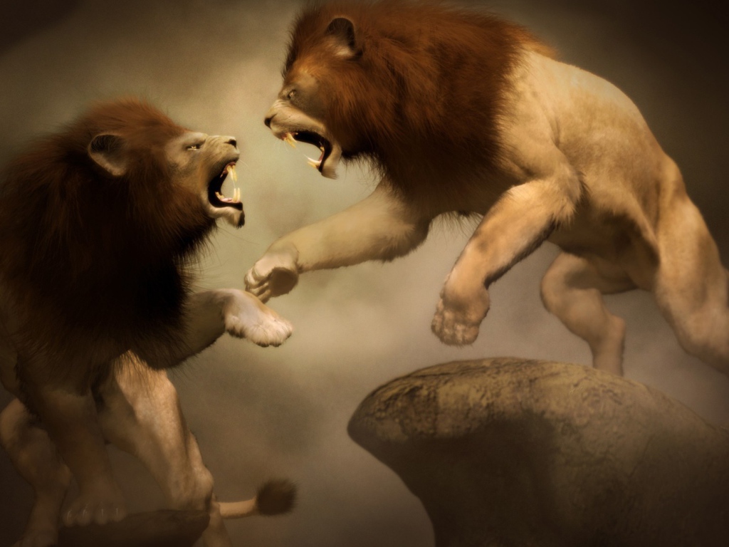 	   Battle of two lions
