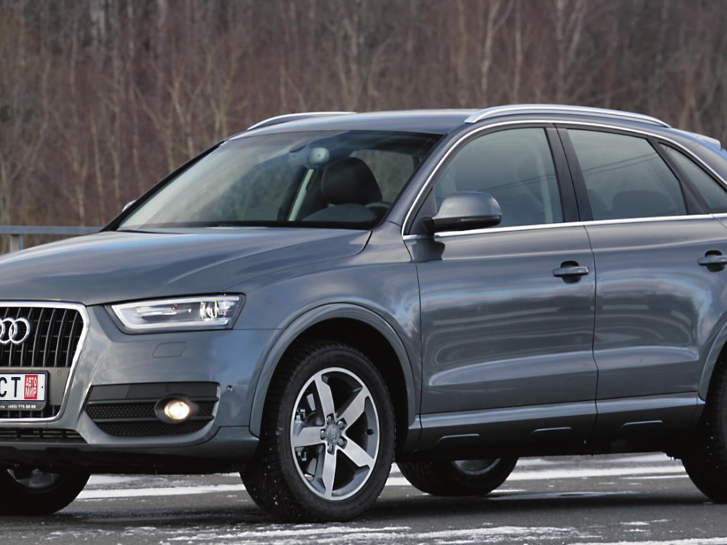 Дикий зверь Audi Q3