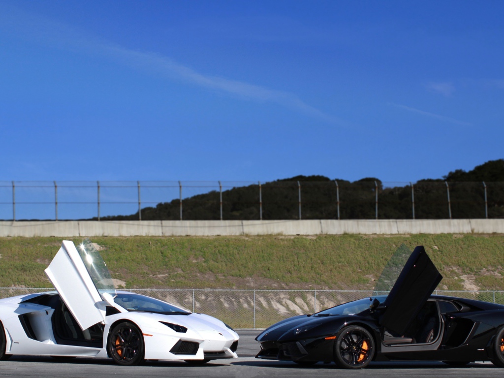 Белый и черный ламборджини