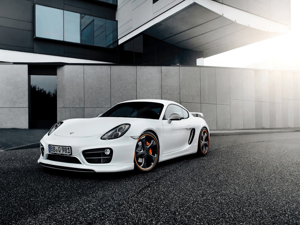 Techart Porsche Cayman 2014 год