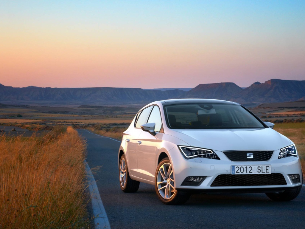 Надежная машина Seat leon