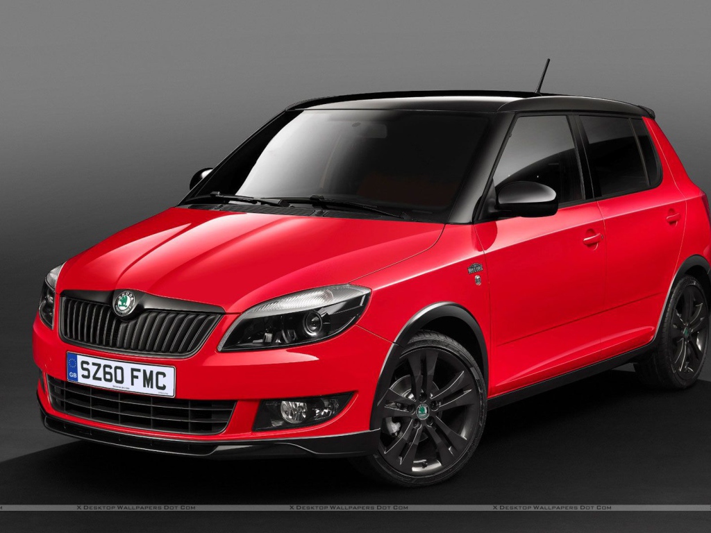 Тест драйв автомобиля Skoda Fabia
