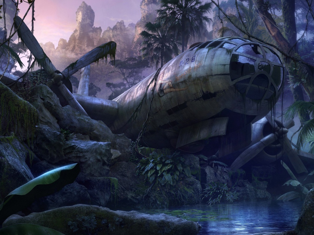 Самолет упал в джунгли