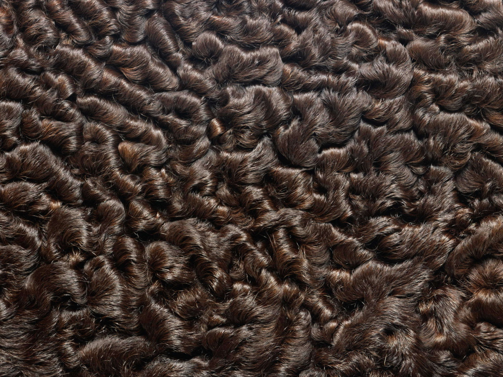 Мех каракуль